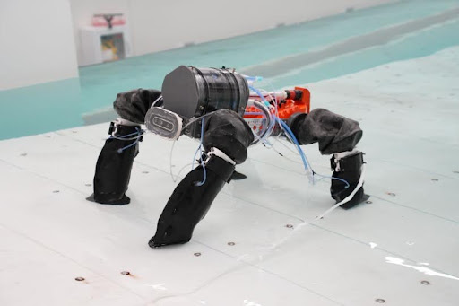 Turtle chassis view